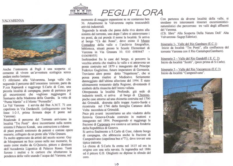 pagina 10