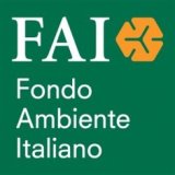 Logo FAI